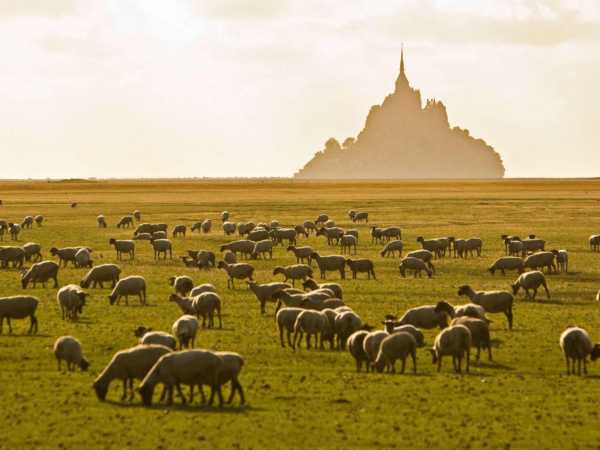 Hotelf1 Avranches Baie Du Mont Saint Michel Екстер'єр фото